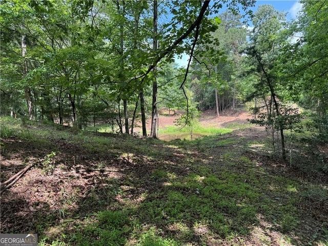 0 Ben Higgins Road, Dahlonega, GA 30533