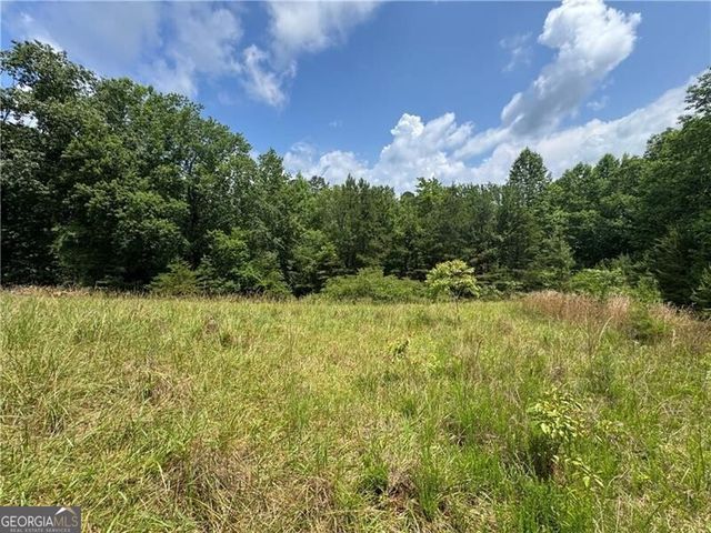 0 Ben Higgins Road, Dahlonega, GA 30533