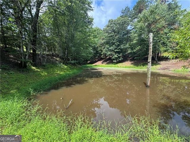 0 Ben Higgins Road, Dahlonega, GA 30533