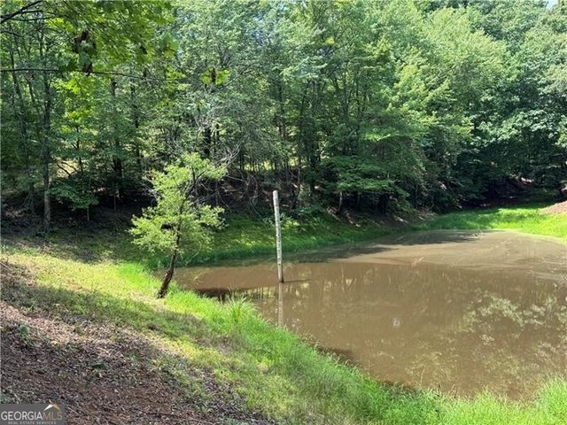 0 Ben Higgins Road, Dahlonega, GA 30533