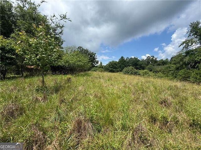 0 Ben Higgins Road, Dahlonega, GA 30533
