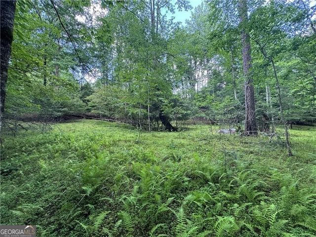 0 Ben Higgins Road, Dahlonega, GA 30533