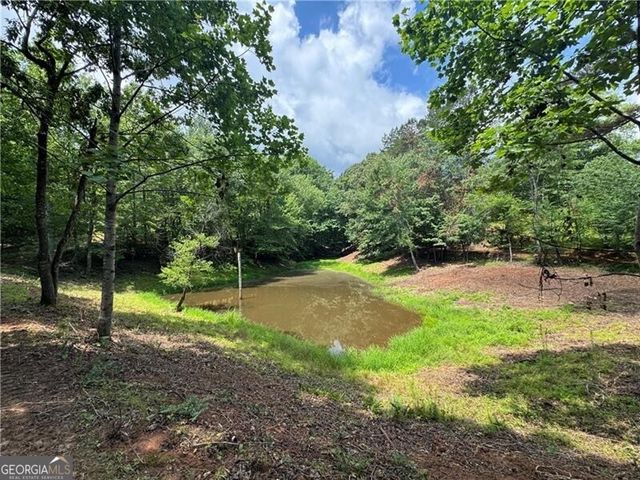 0 Ben Higgins Road, Dahlonega, GA 30533