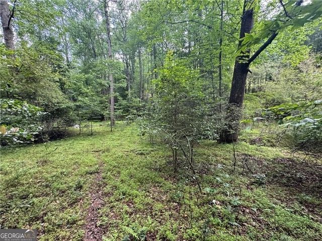 0 Ben Higgins Road, Dahlonega, GA 30533