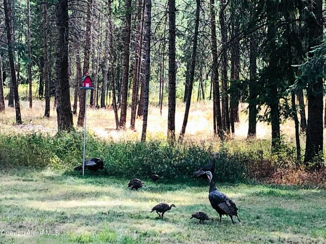 24805 N Cedar Mountain RD, Athol, ID 83801