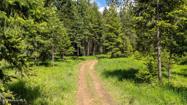 24805 N Cedar Mountain RD, Athol, ID 83801