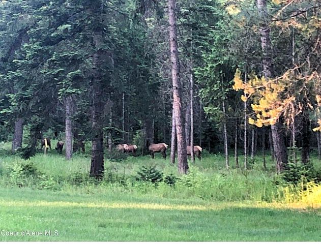 24805 N Cedar Mountain RD, Athol, ID 83801