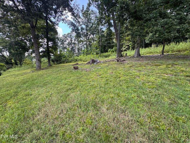 325 Mullins Street, Kingsport, TN 37665