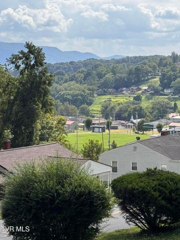 325 Mullins Street, Kingsport, TN 37665