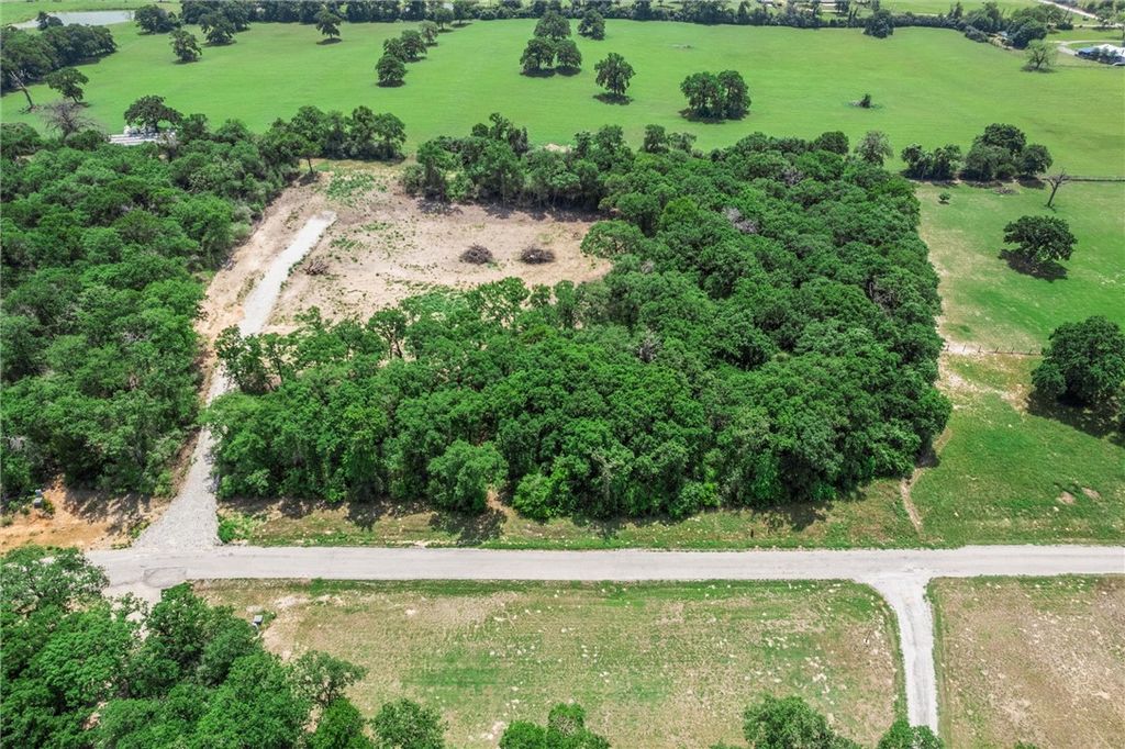1311 Azalea Drive, Franklin, TX 77856 — photo 3