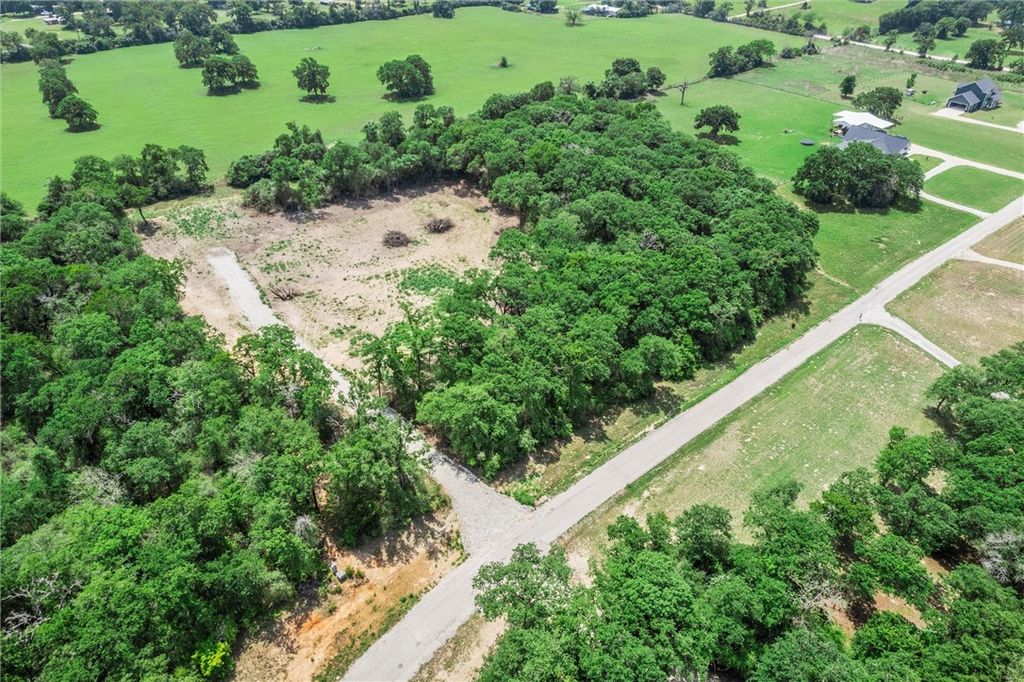 1311 Azalea Drive, Franklin, TX 77856 — photo 5