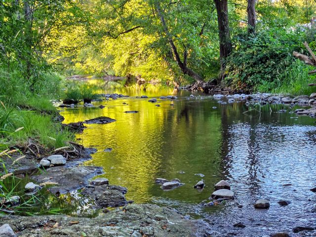 149 Beaver Lane, Canyonville, OR 97417