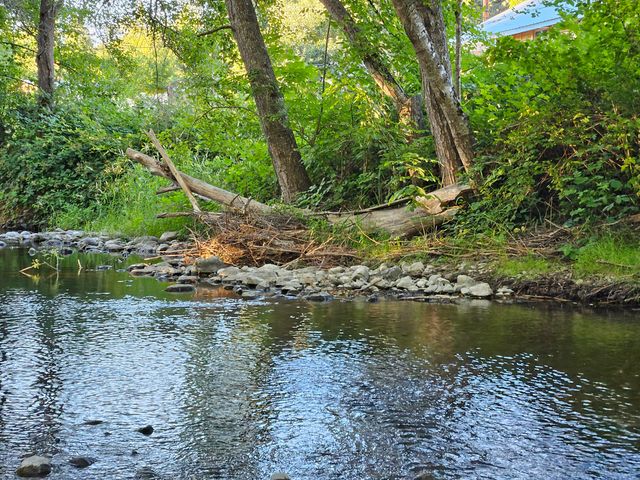 149 Beaver Lane, Canyonville, OR 97417