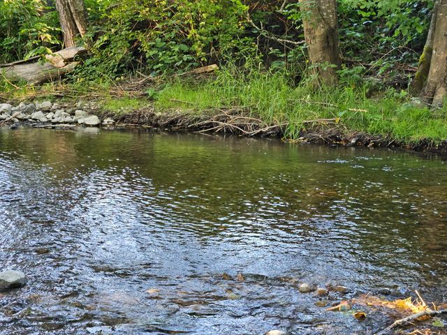 149 Beaver Lane, Canyonville, OR 97417