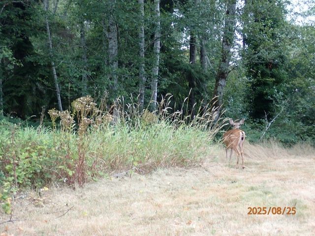 6814 River Road, Aberdeen, WA 98520