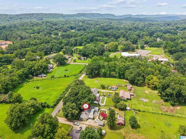 8013 S VALLEY ROAD, Pinson, AL 35126