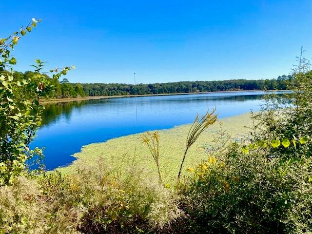 2.37ac. Martin Road, Defuniak Springs, FL 32433