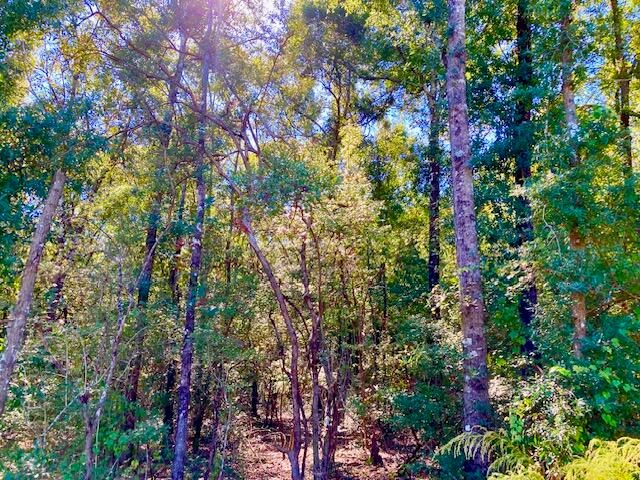 2.37ac. Martin Road, Defuniak Springs, FL 32433