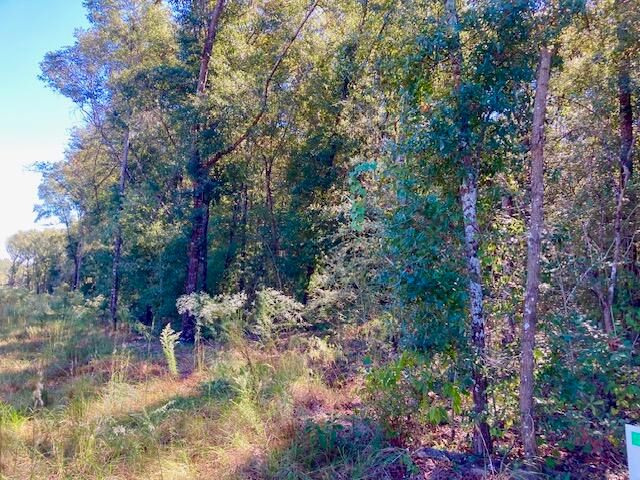 2.37ac. Martin Road, Defuniak Springs, FL 32433