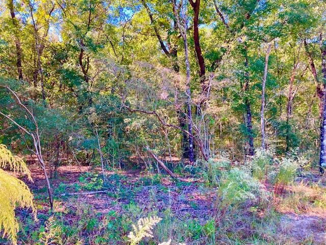 2.37ac. Martin Road, Defuniak Springs, FL 32433