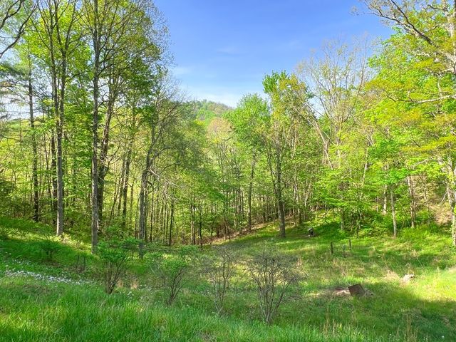 254 Joyces, Topton, NC 28781