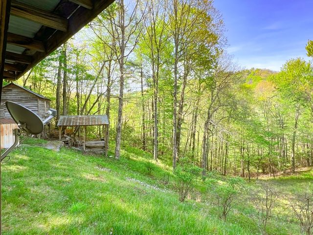 254 Joyces, Topton, NC 28781