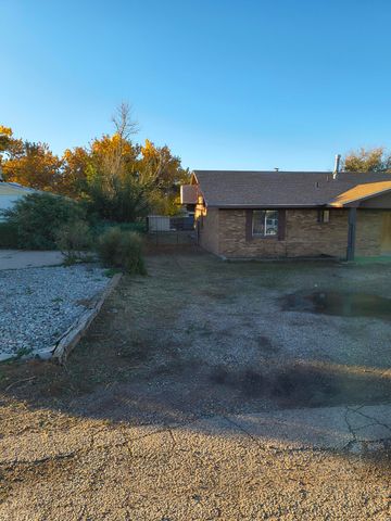 630 Gianera Avenue, Socorro, NM 87801