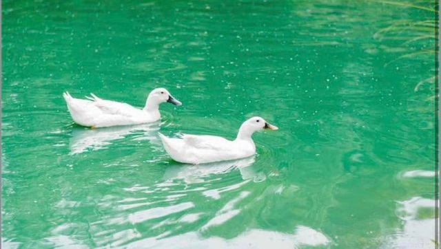 282 County Road 723, Jonesboro, AR 72405