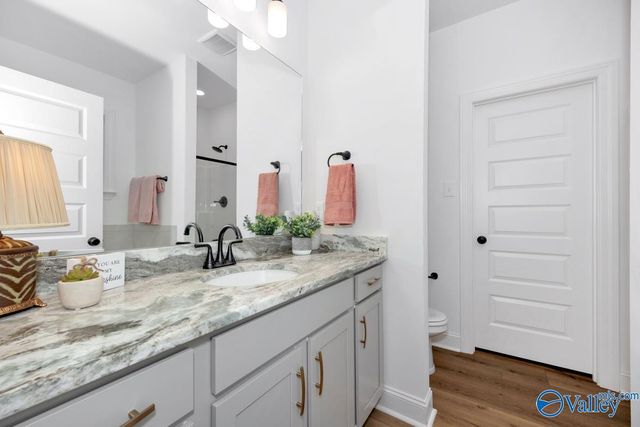 15640 Bees Street NW, Harvest, AL 35749