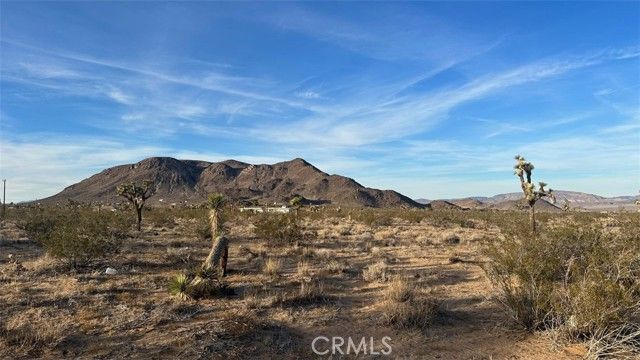 59775 Bearing Tree Road, Landers, CA 92285