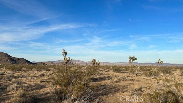 59775 Bearing Tree Road, Landers, CA 92285