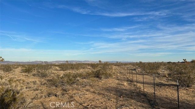 59775 Bearing Tree Road, Landers, CA 92285