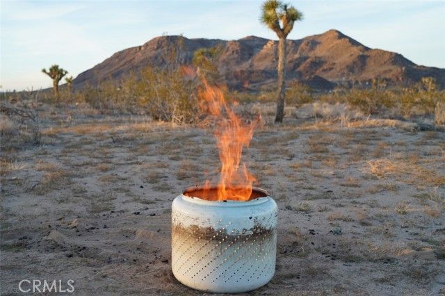 59775 Bearing Tree Road, Landers, CA 92285