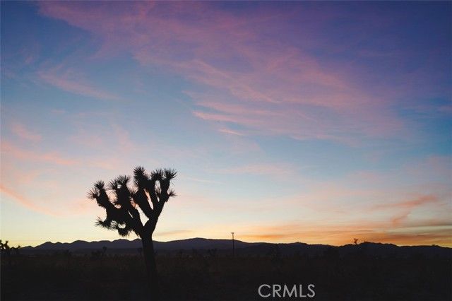 59775 Bearing Tree Road, Landers, CA 92285