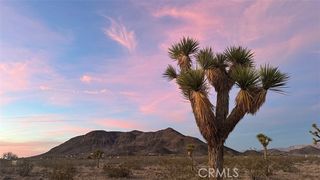 59775 Bearing Tree Road, Landers, CA 92285