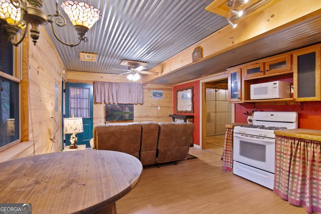 143 Kaely Drive, Mineral Bluff, GA 30559