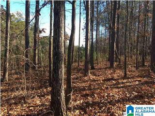 62 HAINES DRIVE, Vincent, AL 35178