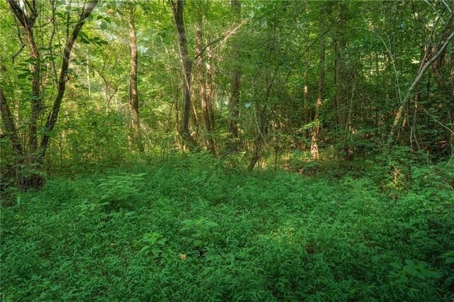 00 Bill Smith Drive, Canton, GA 30114