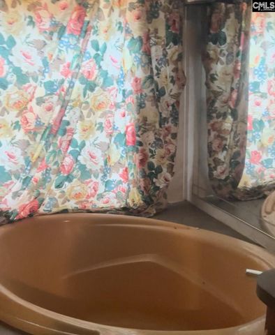 416 Otis Road, Pelion, SC 29123