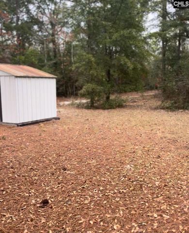 416 Otis Road, Pelion, SC 29123