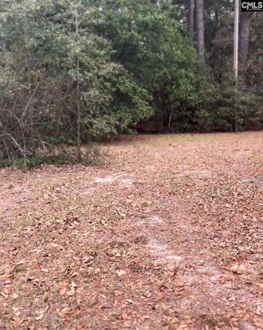 416 Otis Road, Pelion, SC 29123