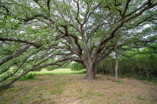 TBD FM 713 Highway, Rosanky, TX 78953