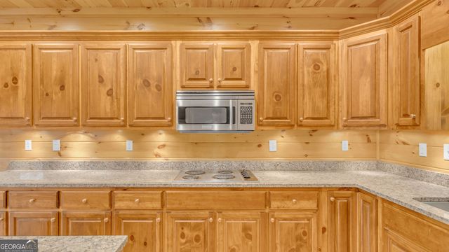 661 Toccoa River Forest, Mineral Bluff, GA 30559