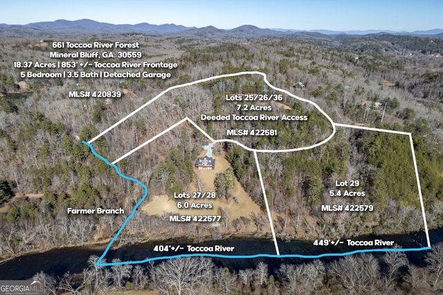 661 Toccoa River Forest, Mineral Bluff, GA 30559