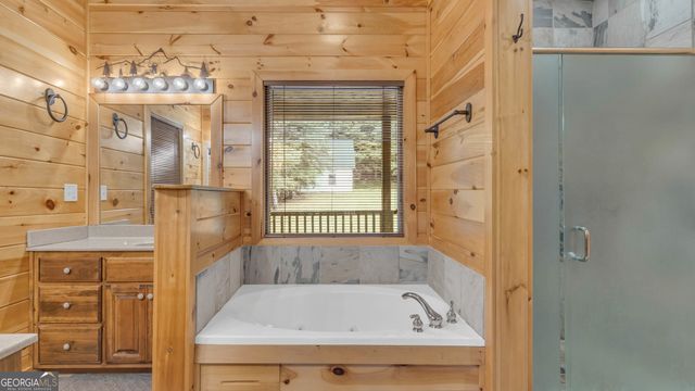 661 Toccoa River Forest, Mineral Bluff, GA 30559