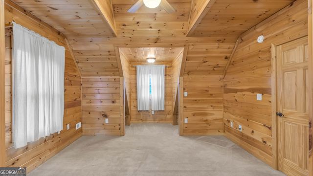 661 Toccoa River Forest, Mineral Bluff, GA 30559