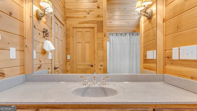 661 Toccoa River Forest, Mineral Bluff, GA 30559