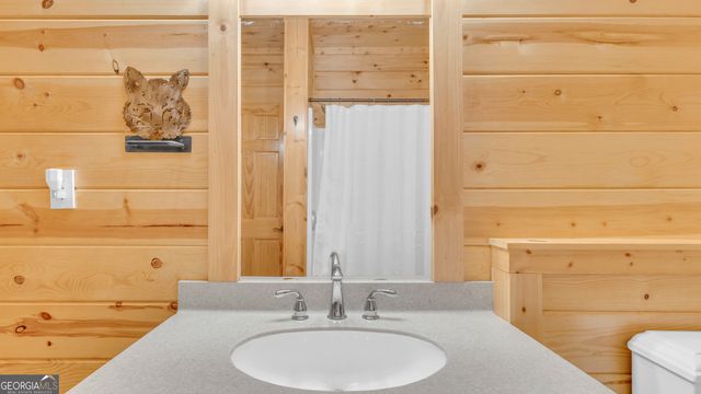 661 Toccoa River Forest, Mineral Bluff, GA 30559