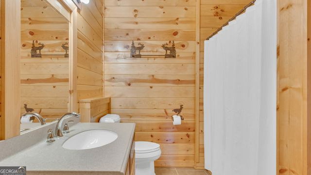 661 Toccoa River Forest, Mineral Bluff, GA 30559