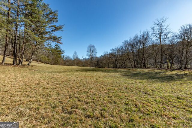 661 Toccoa River Forest, Mineral Bluff, GA 30559